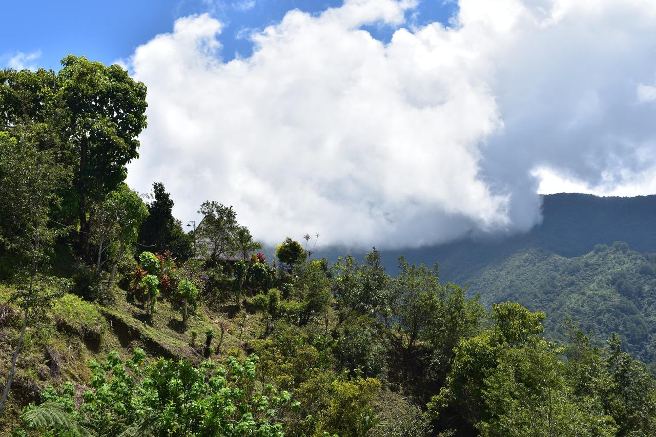 Hiwang Native House Inn & Viewdeck Banaue Εξωτερικό φωτογραφία